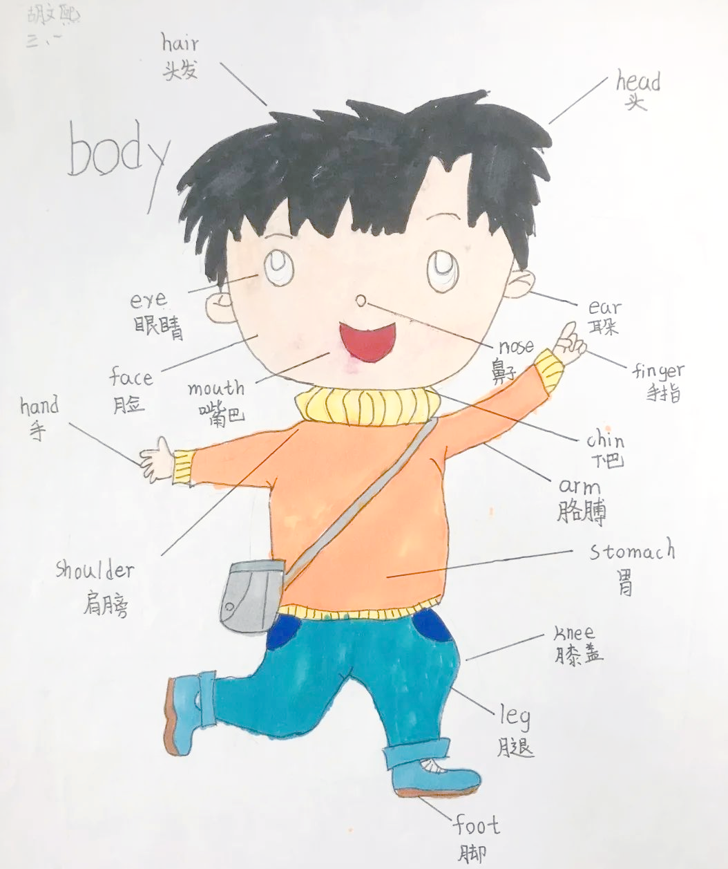 n
为了更好地学习和记忆,同学们还通过"自画像"的方式,生动地呈现了