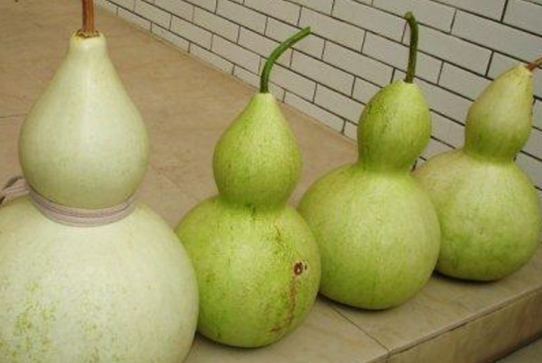 青葫芦怎么盘出来的