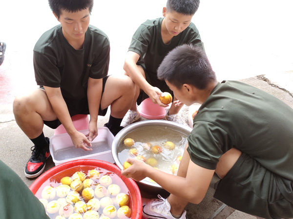 特训学校分享黄桃——志华特训学校