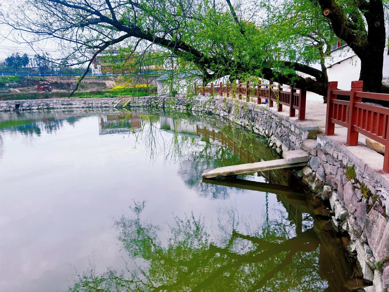 商城县余集镇:春暖花开,整治人居环境正当时