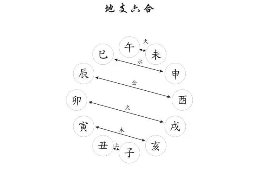 四柱基础16 地支六合