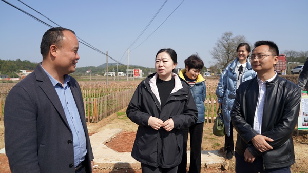 陈虹伶到乌石镇调研春耕生产工作