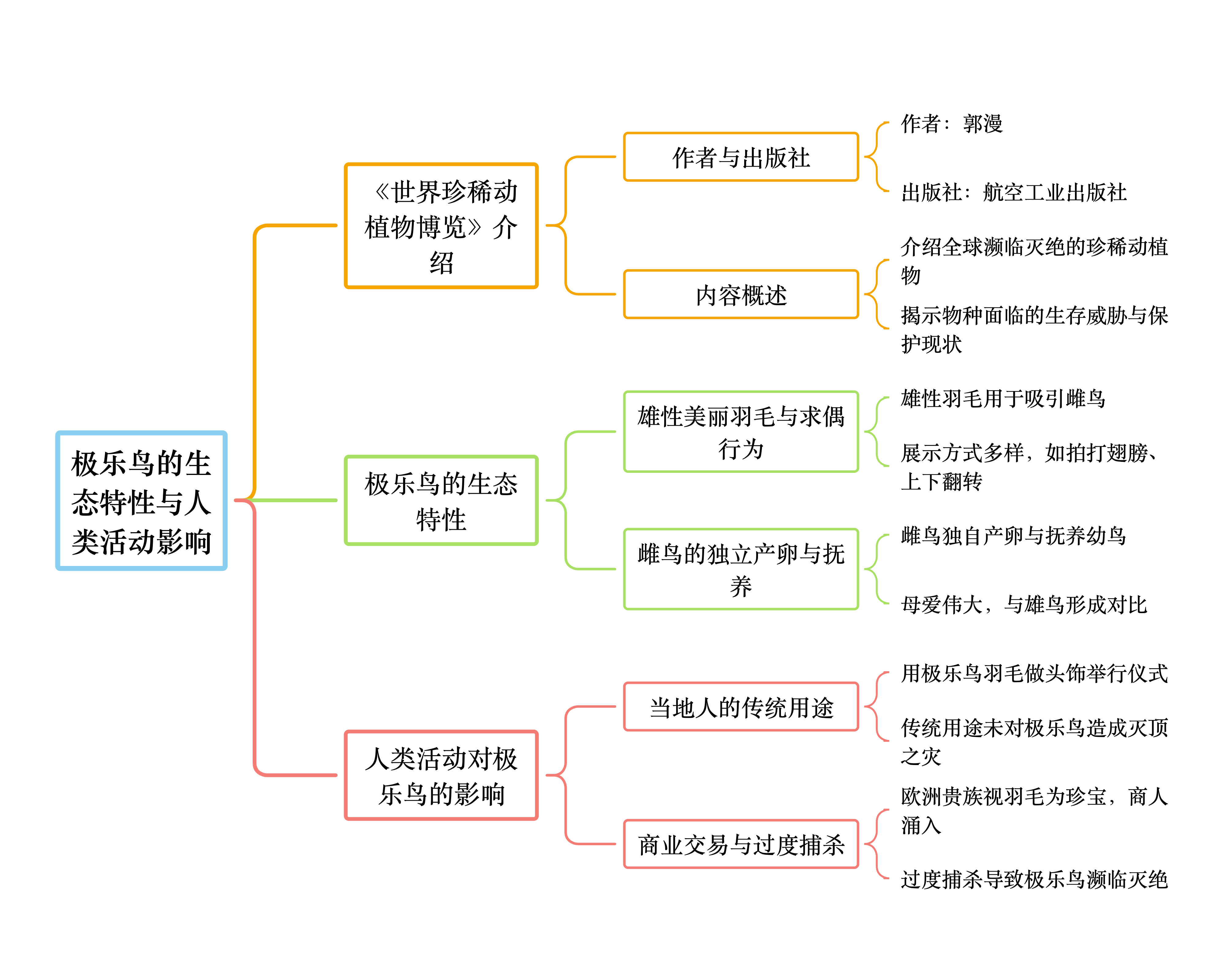 羽色斑斓的极乐鸟