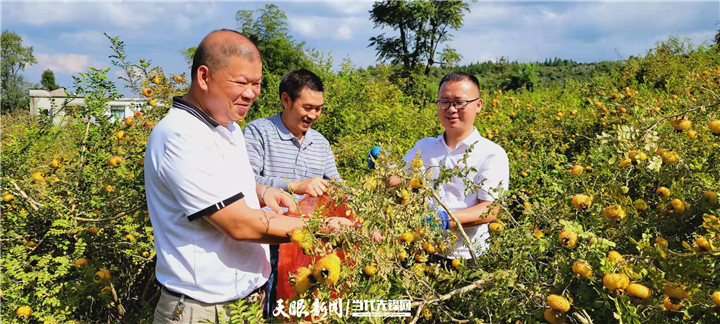 仁怀市喜头镇镇长图片