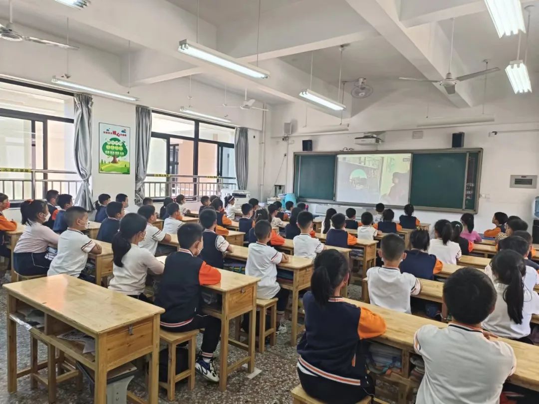 龙岩紫金山实验学校图片