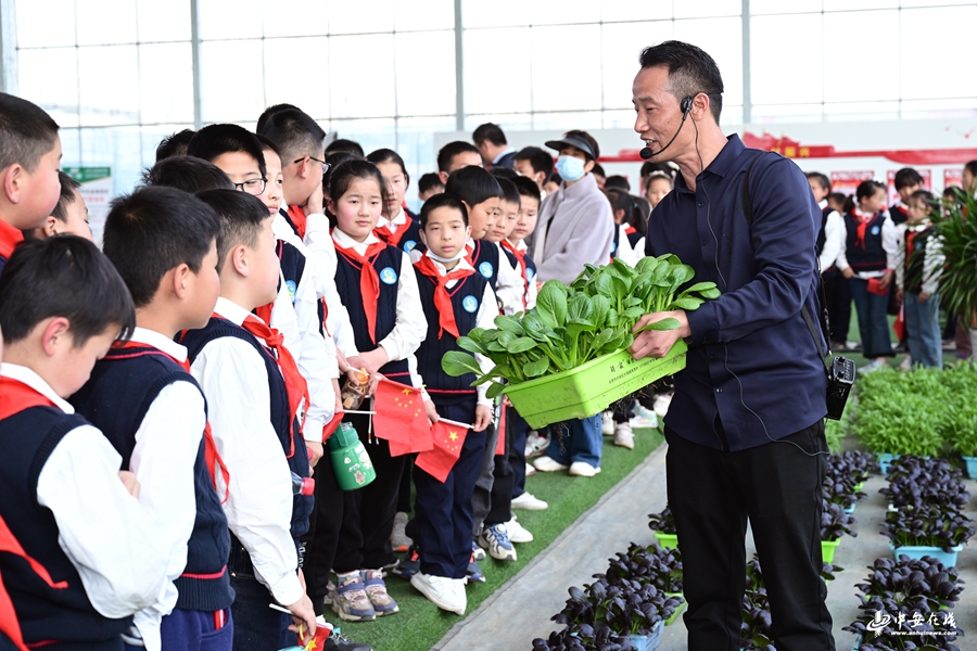 安徽合肥:校外勞動教育實踐基地 助力青少年綜合素質提升