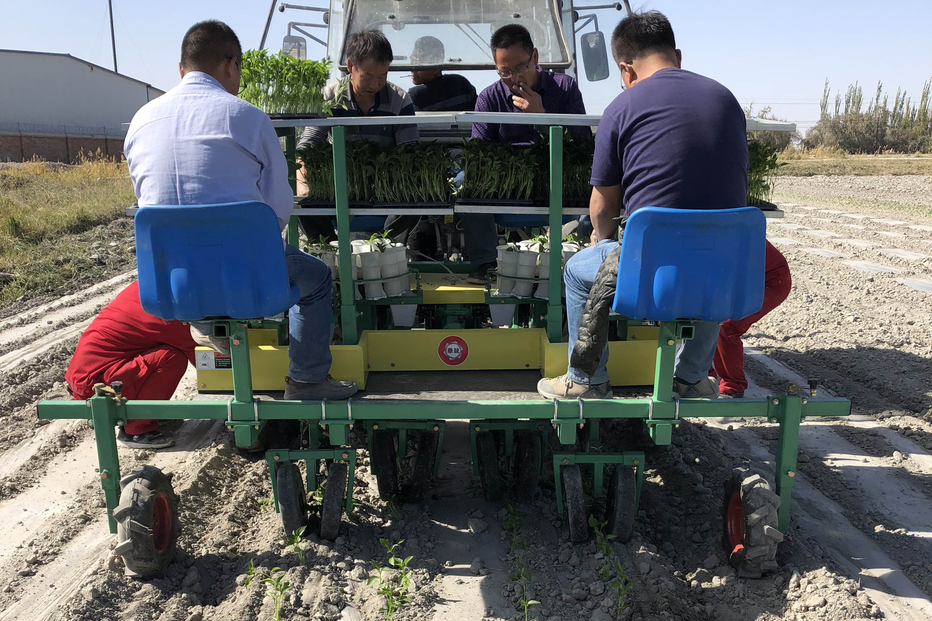 新疆辣椒移栽机哪里有