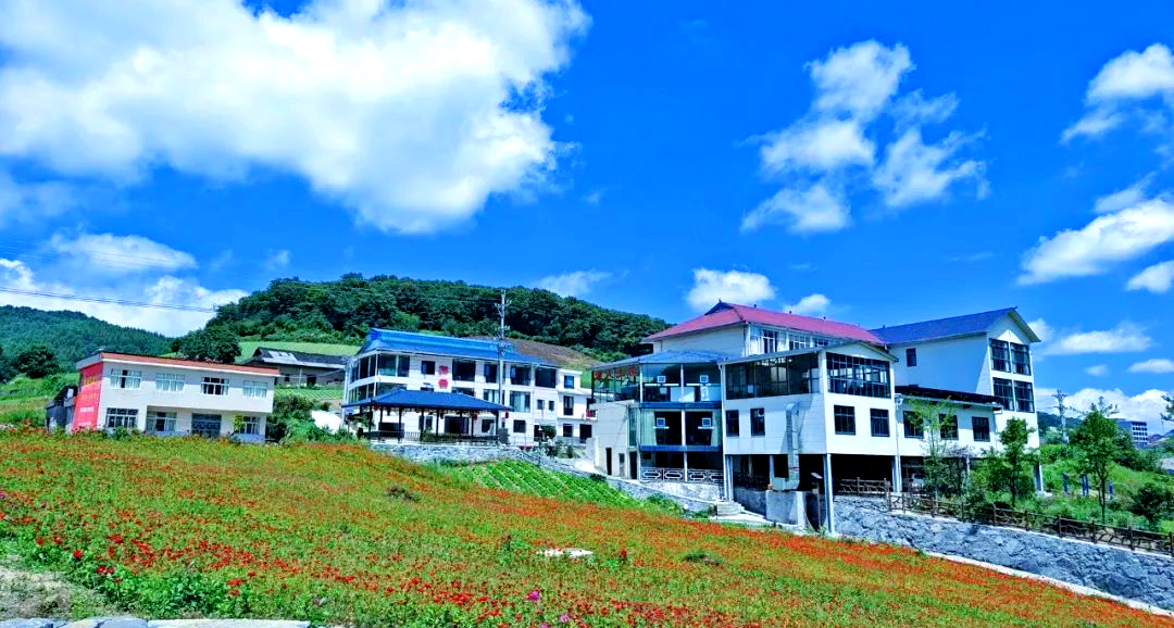 长阳火烧坪:从高山蔬菜到民宿群落,乡村振兴新路径探索