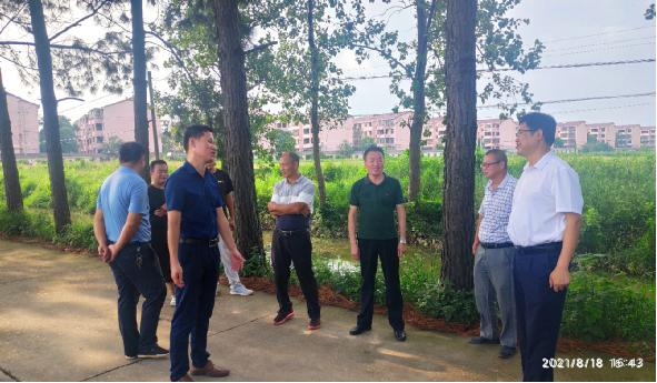 市林业局驻村工作队到恒湖垦殖场,河林村考察学习村级产业