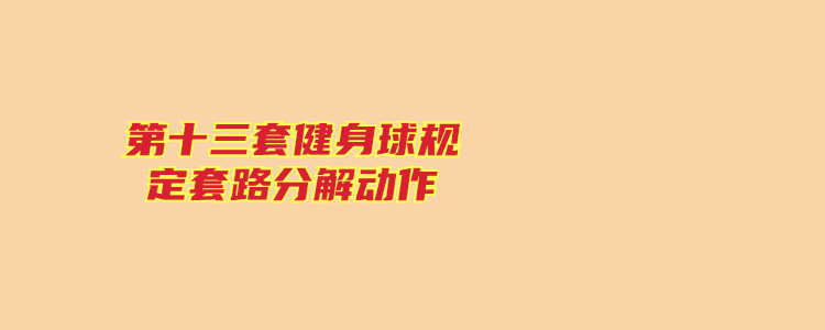 第十三套健身球规定套路分解动作