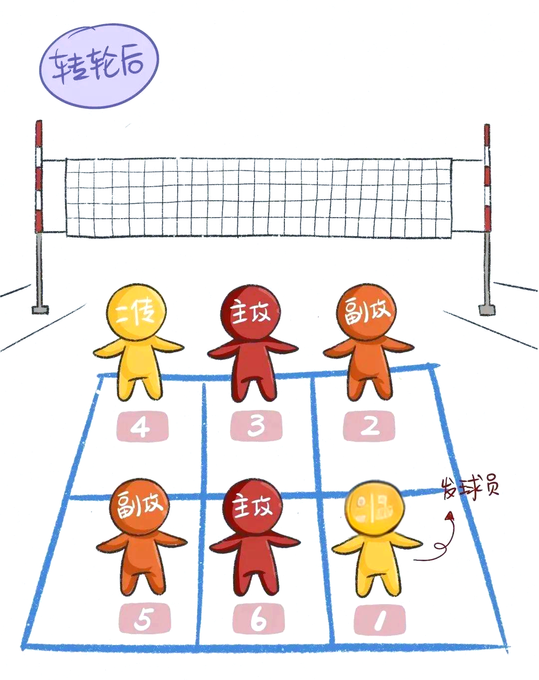 排球场地标准与竞赛规则深度解析