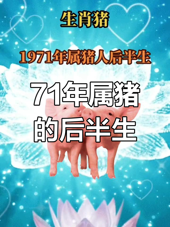 71年属猪生肖运势(71年属猪人的运势)