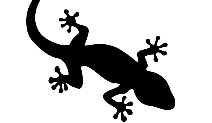 汉武帝在盆内放了只小壁虎,让大臣猜,为何只有东方朔猜中了?