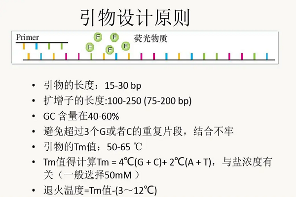 pcr引物设计原则