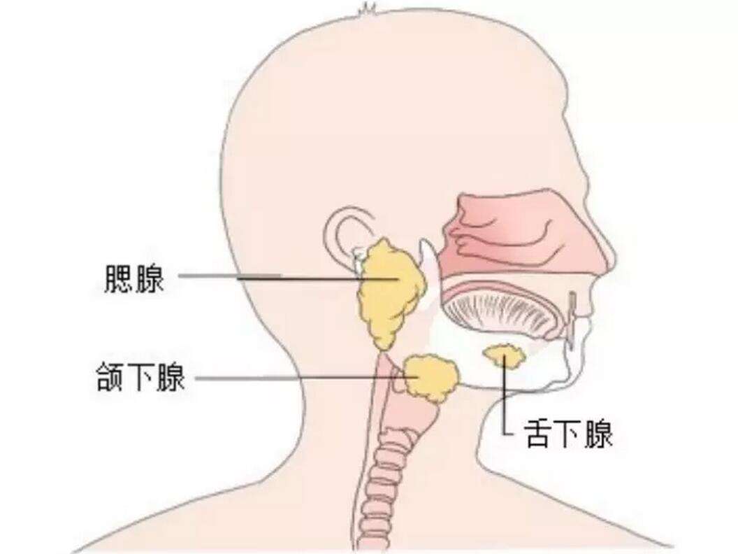 人类正在见证自己进化