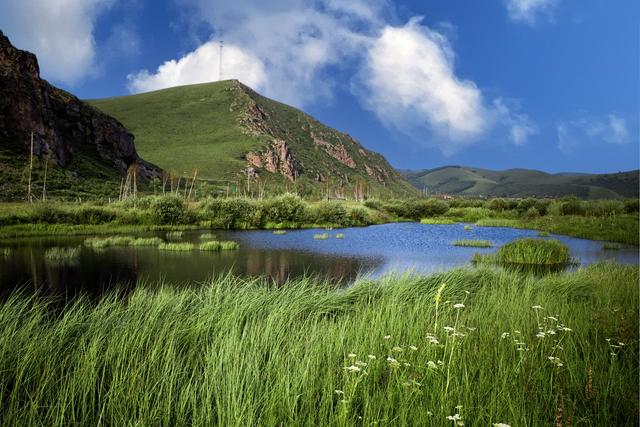 到丰宁坝上草原"百里天路",只看这一篇攻略就足够啦!