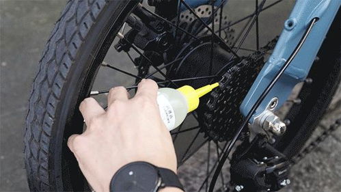 自行车刹车异响原因