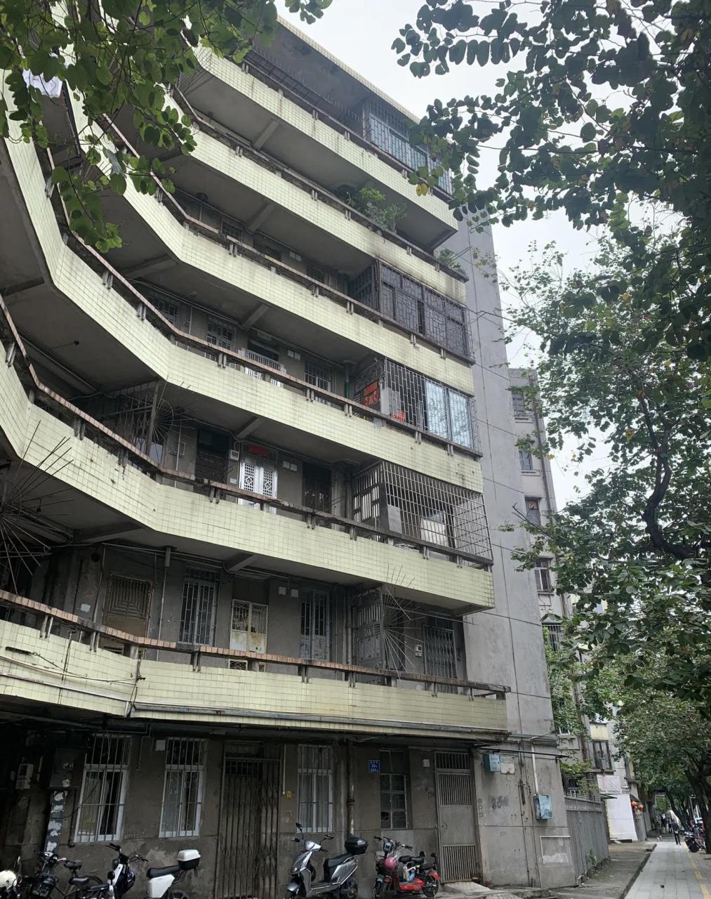 老城区真的好,多亏佛山有很多老房子,租金便宜使得很多小而美的店