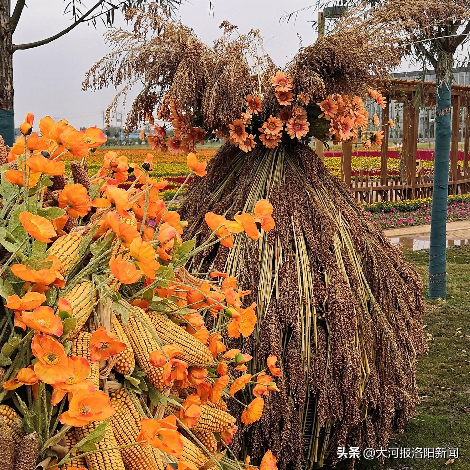 玉米苞叶,高粱杆,芝麻杆,废弃农作物变身艺术景观,亮相丰收节