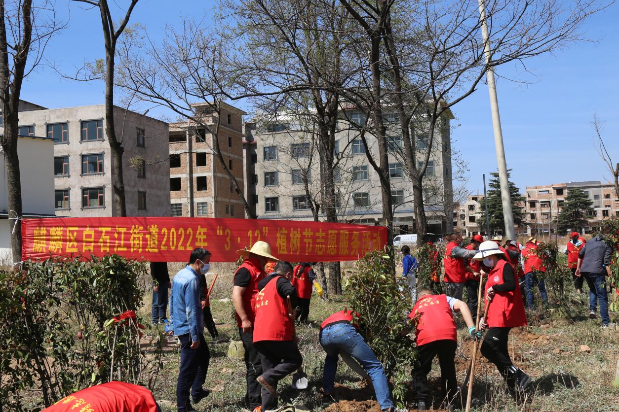 白石江街道开展312植树节主题活动
