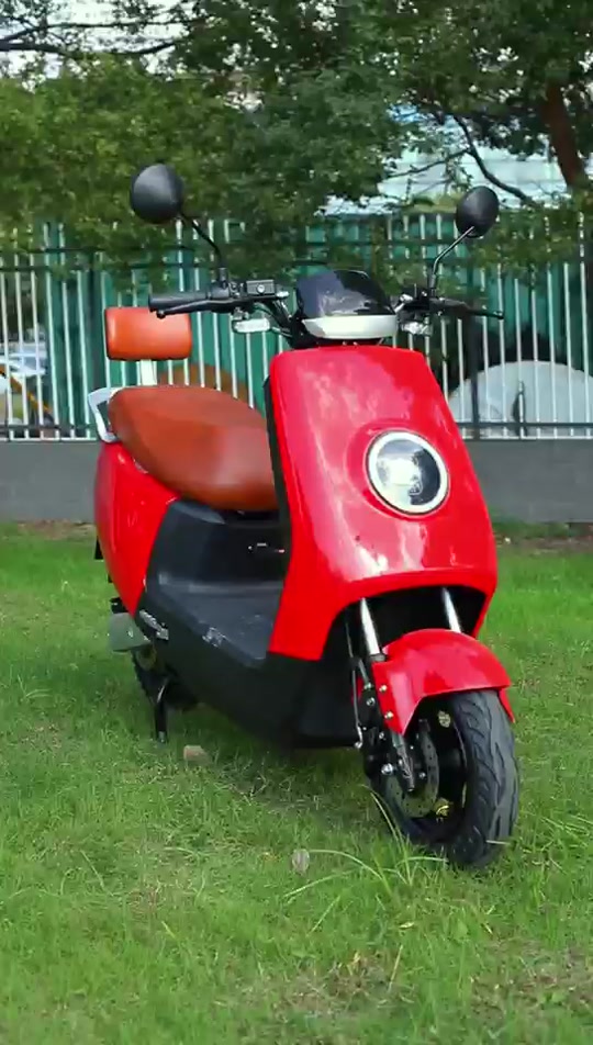 飞野电动车是哪个厂家生产的