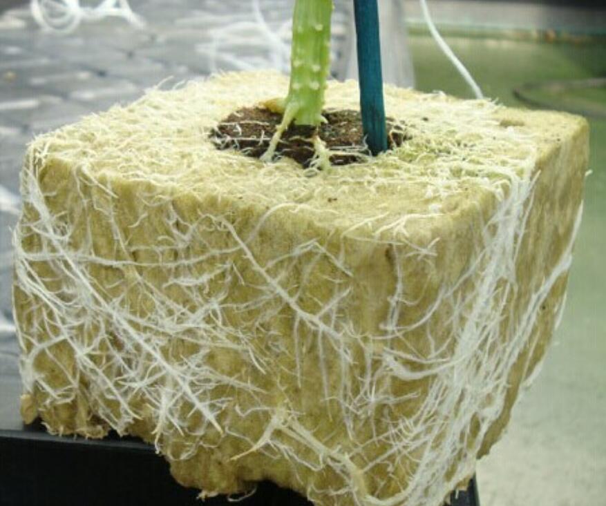 无土栽培蔬菜成功的关键:水质,营养液配方及基质,此乃技术核心