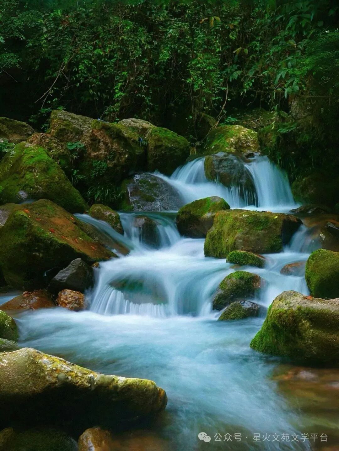 柳栓荣《听雨寄意〈巴山夜雨〉感怀》散文