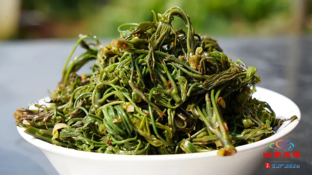 在玉溪,有一种美味叫梁王茶尖