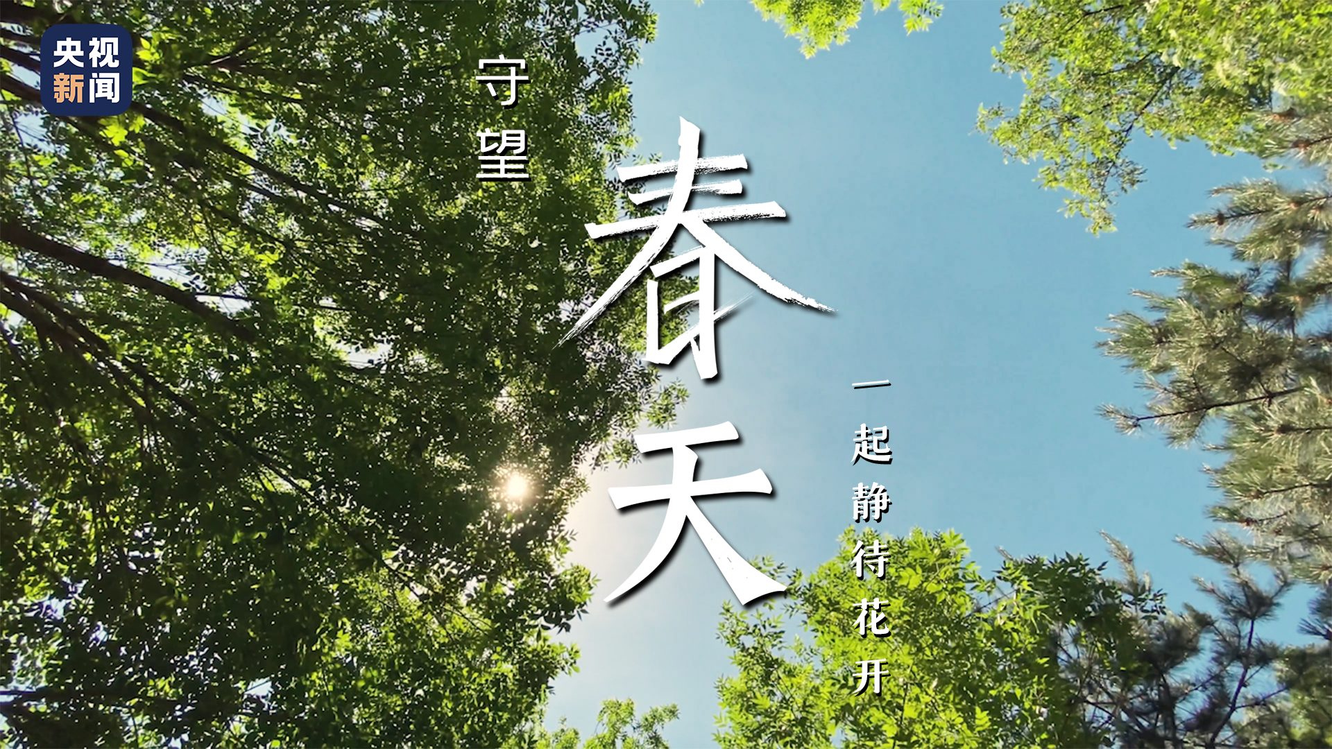 守望春天丨春天如期而至 一起静待花开