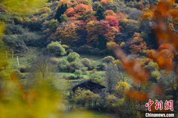 四川省九寨沟县中查沟深秋如画