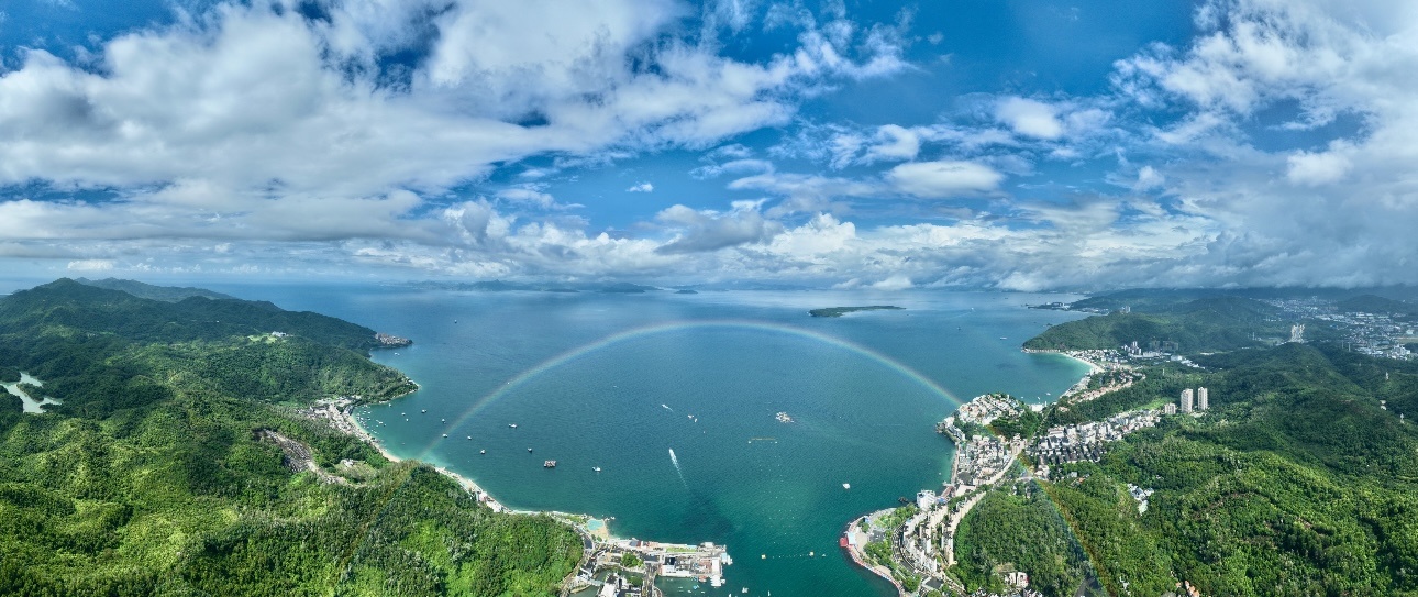 春节冲鸭!小黄鸭家族将游入大鹏南澳月亮湾,上岸西涌,杨梅坑等景区