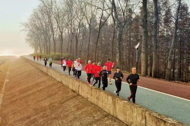 芒格挚友,彼得·考夫曼:财富管理者应像蜂鸟,用很小的力量得到很大的