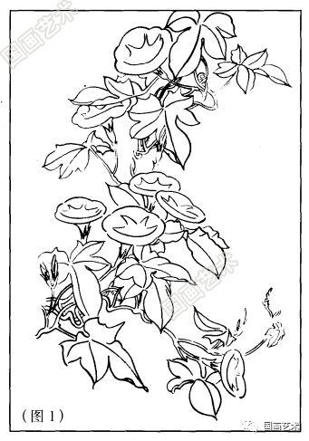 图文教程:学画写意牵牛花