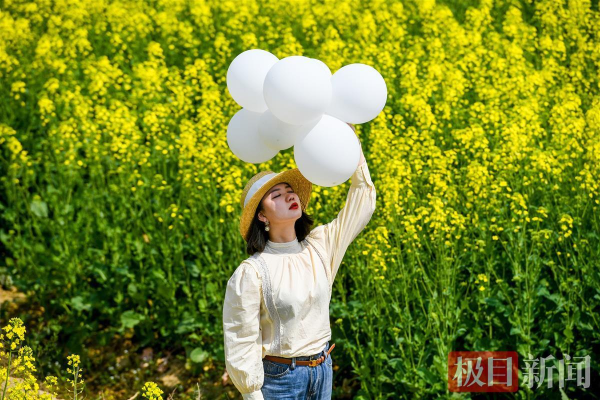 相約春天賞櫻花丨江城動芳心一夜百花香