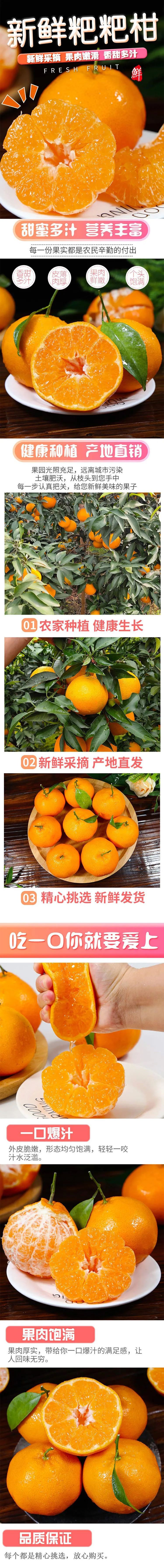 应季水果,四川粑粑柑热卖中