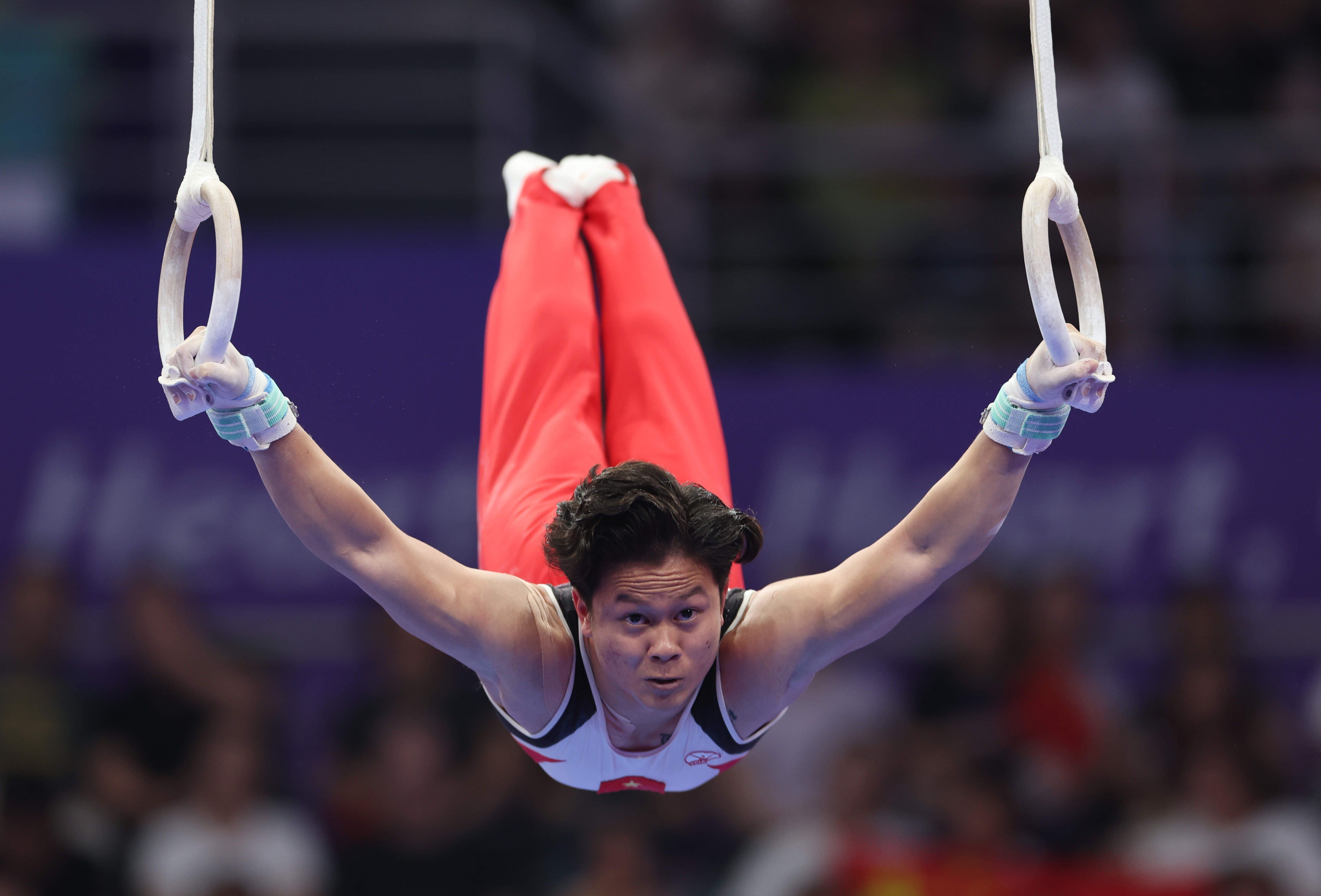 竞技体操——男子吊环决赛赛况