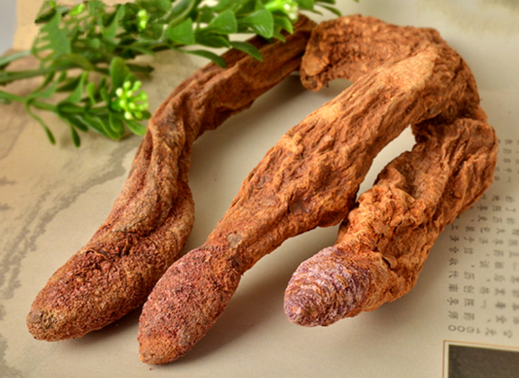 人称"沙漠人参",被商家"炒作"1斤千元,很多人交"智商税"