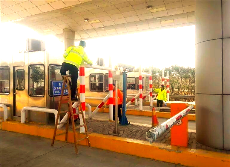 九瑞高速安全岛焕新工程:美化与安全同行