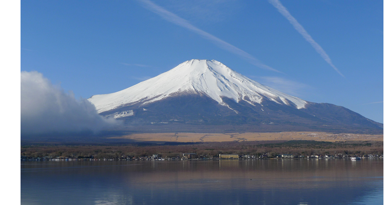 suki日语什么意思