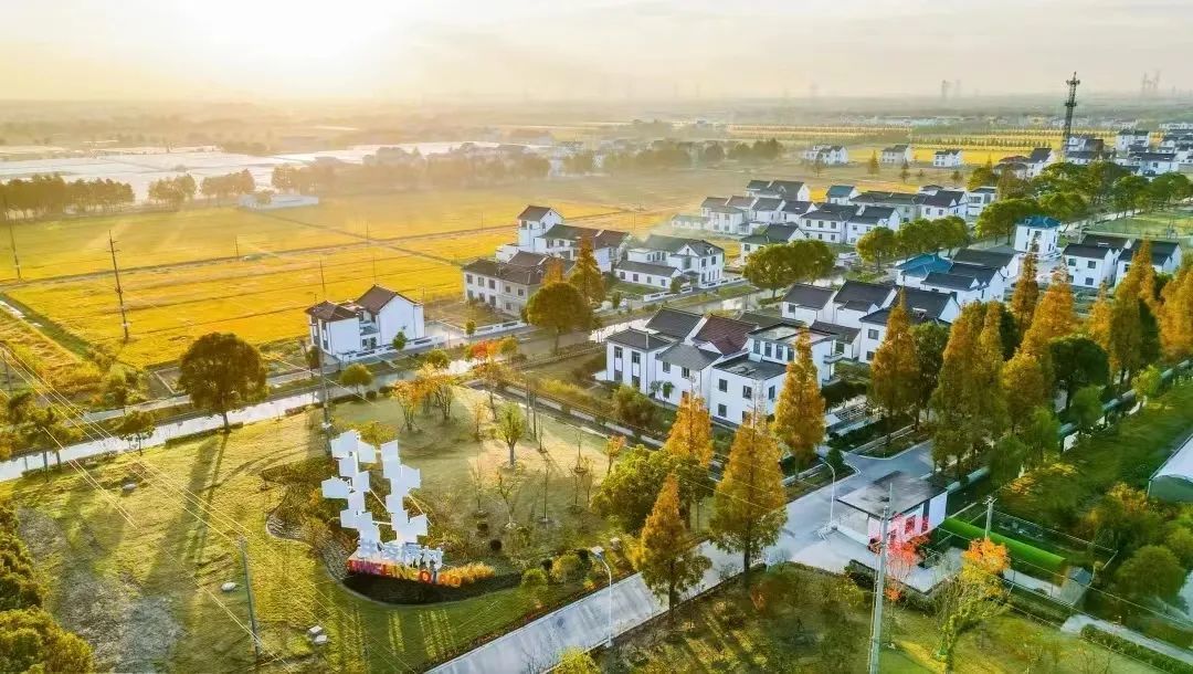 【动态】市规划资源局赴松江区叶榭镇开展调研