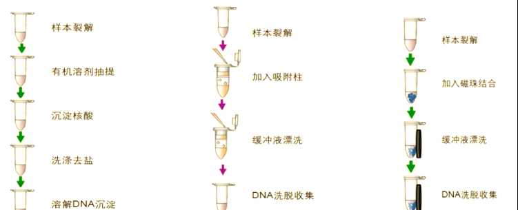 多种dna提取方法及其优缺点详解