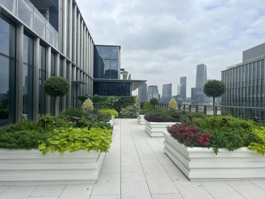 前滩着力构筑城市生态新景观,立体绿化融入时尚地标丨品质新生活