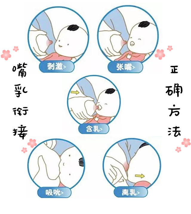母乳喂养姿势4个要点图片
