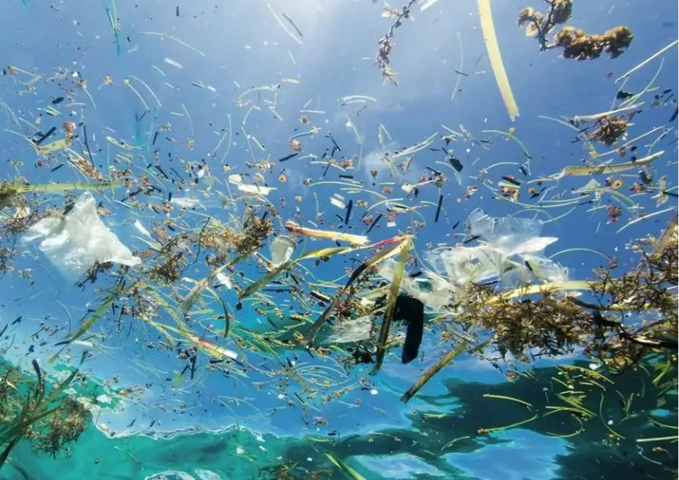 令人担忧!8919米深雅浦海沟,人类首次抵达,发现不该存在的东西