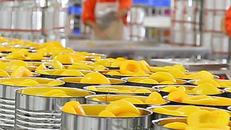 东北人独宠黄桃罐头的原因找到了!不止是美食,更是一种精神寄托