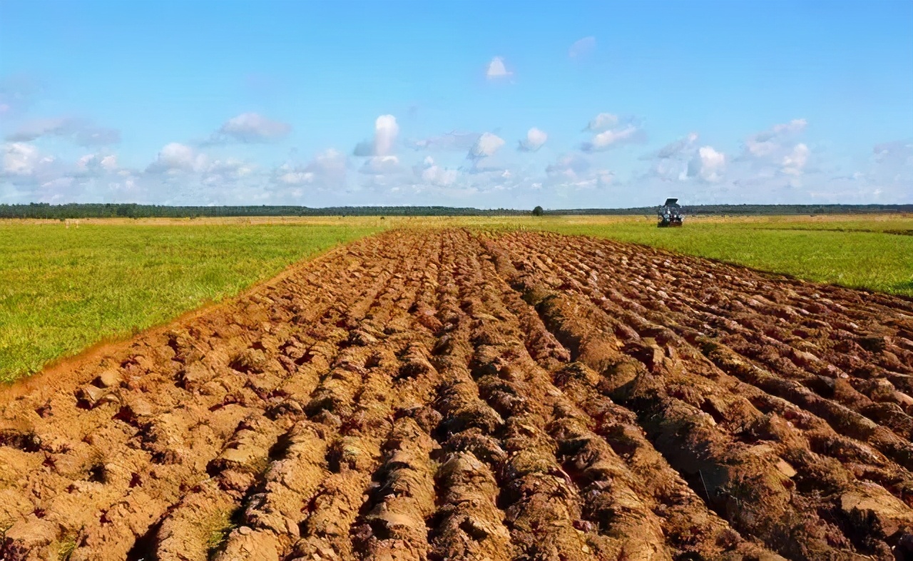 中央拟定:农村耕地"一户一田"会落实吗?农民关心补偿问题?
