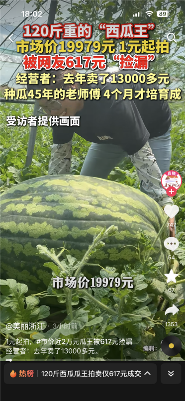 120斤西瓜瓜王拍卖仅617元成交！市场价19979元 去年同款拍到1.3万
