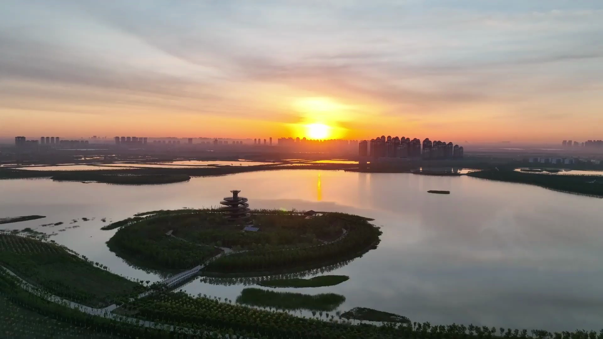 美丽津南 绿屏起 稻飘香