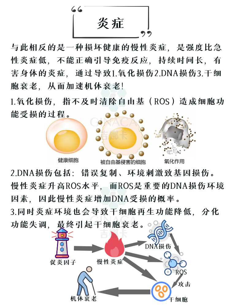 促炎抗炎因子全知道