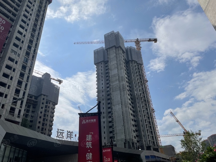 楼盘测评|增城荔城新盘,远洋风景卖什么价?